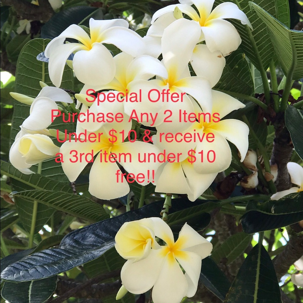 ‼️🌺🌸Special Offer🌺🌸‼️